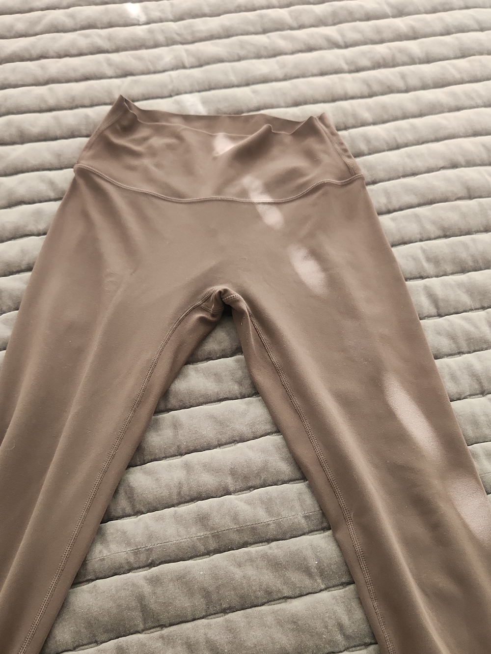PARAGON Chocolate Brown Active Leggings
